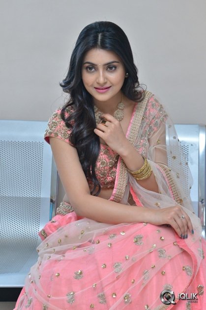 Avantika-Mishra-at-Vaishakham-Movie-Audio-Launch